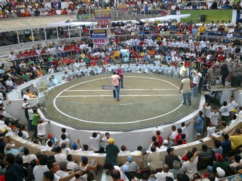 Bakbakan Derby Arena Cockpits in the Philippines: A Cultural .